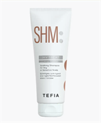 Шампунь для сухой или чувствительной кожи головы Soothing Shampoo Dry Sensitive Scalp 250мл MYTREAT